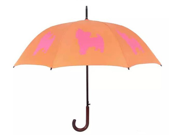 没有一把超美艳的雨伞,下雨天凹造型穿再好看