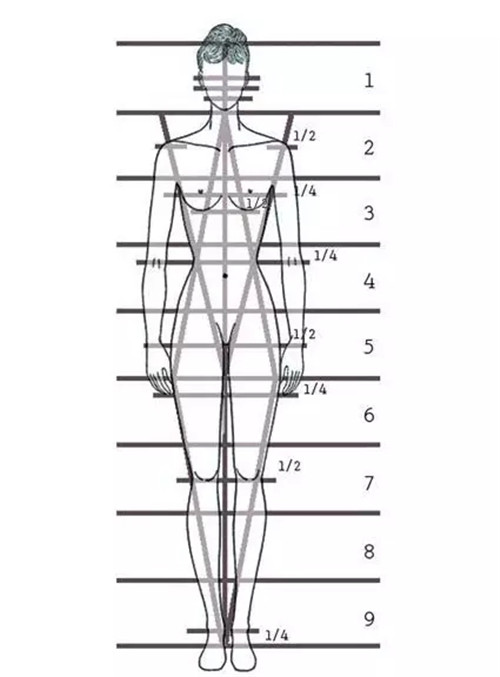 时装画 | 时装人体动态:从9头身到时装效果图线稿表现