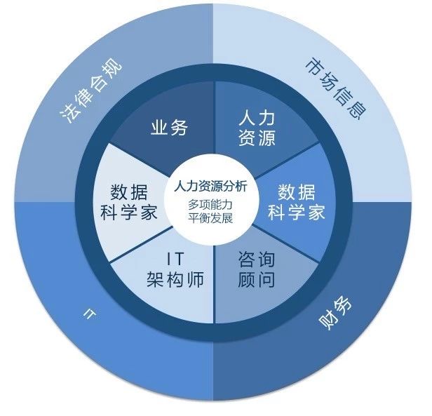 未来最吃香的hr工作:人力分析能力轮盘模型