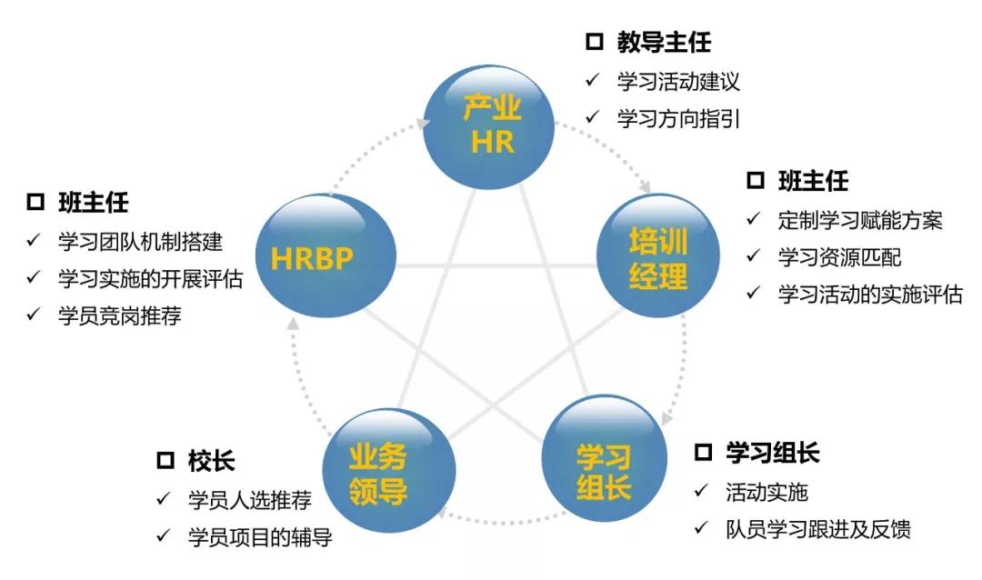 图表1 项目团队组织架构