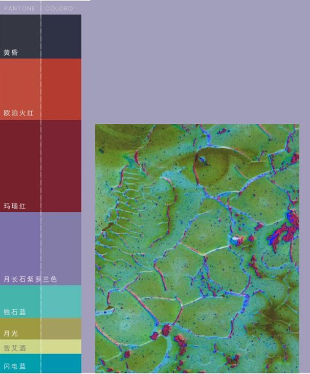 2019/20秋冬女装色彩趋势