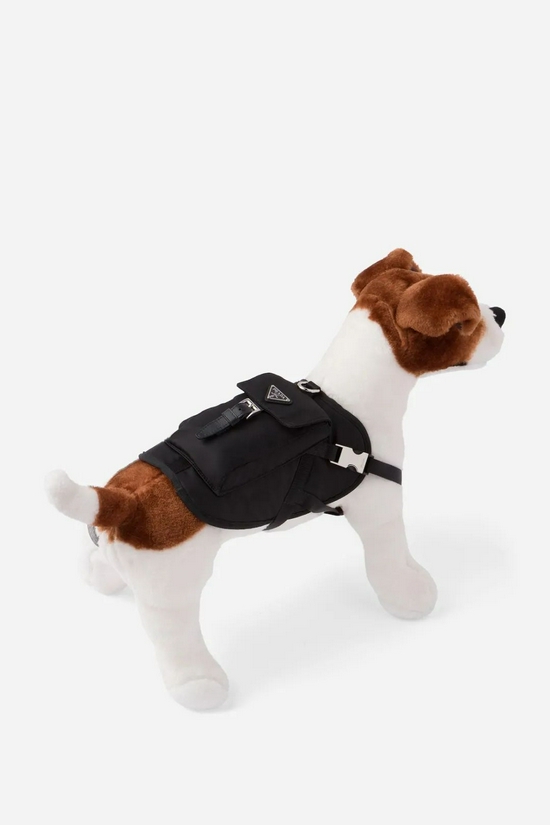  Prada 推出的小狗背带