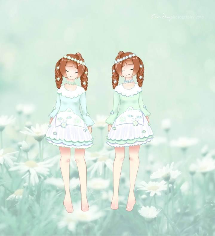清新小猫の小雏菊