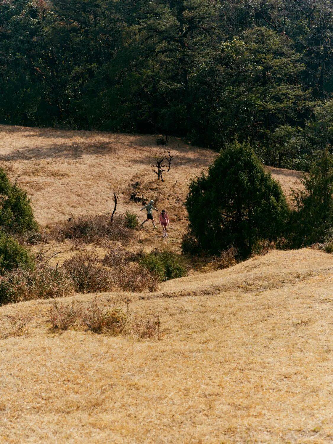 户外品牌需要“谦逊的专业” 