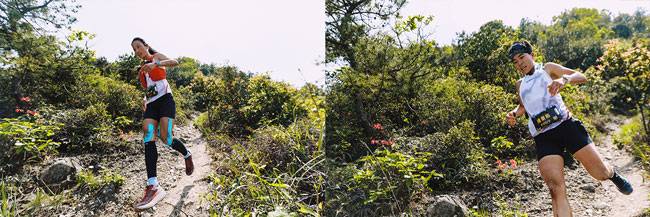 ������2026�ƽ�����ϵ����������Ҿŷ壬��Ӣѡ��չ���۷�Ծ� 