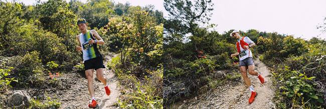 ������2026�ƽ�����ϵ����������Ҿŷ壬��Ӣѡ��չ���۷�Ծ� 